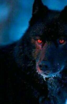 Девочка Альфы( продолжение истории ) 2 часть.