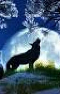 Жизнь оборотня