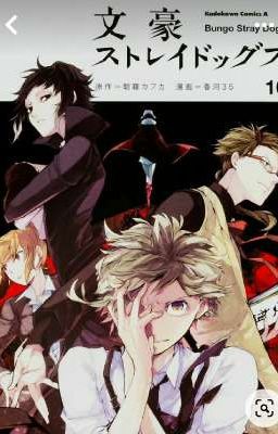 бродячие псы