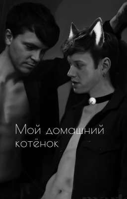Мой домашний котёнок (Артон)