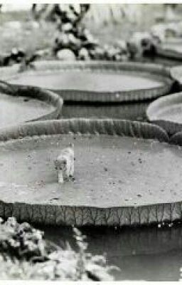 ~Дом-наоборот~