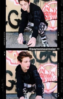 Гибриды война начинается😈