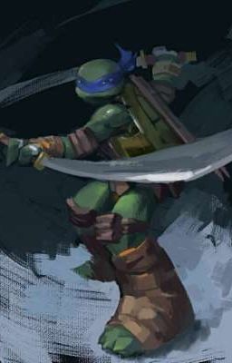 тень самураев.черепашки ниндзя.