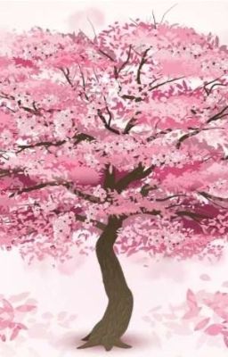 🌸Сакура Хадзиме🌸