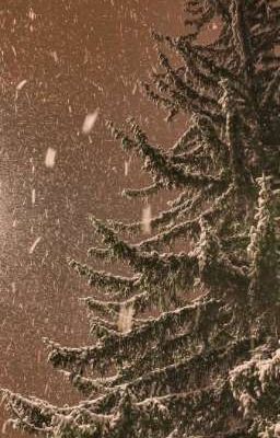 мой злобный новый год