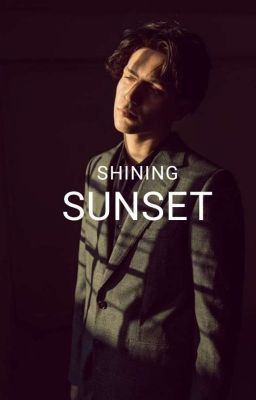 Shining sunset⭐️