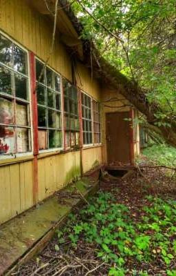 Лагерь ужасов