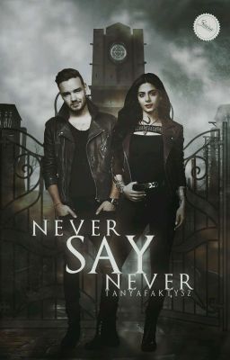 [ЗАМОРОЖЕНО]Never say never || L.P