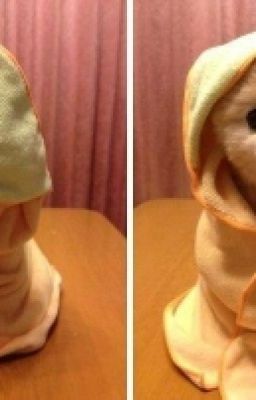 От Ненавести До Любви...