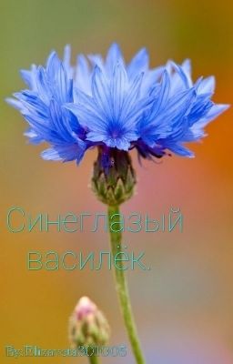 Синеглазый василёк.