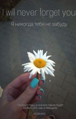 Я никогда тебя не забуду.