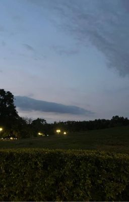 hate is everything (драмионa)