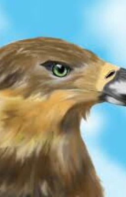 Смотреть и видеть