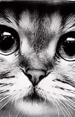 А я его даже не замечал...