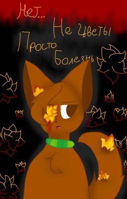 Убогие приключения Ахсукеров 