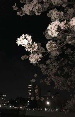 победитель забирает все..