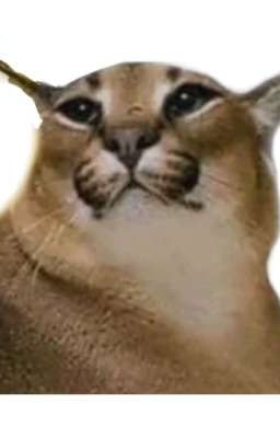 Шлёпа и Тазик