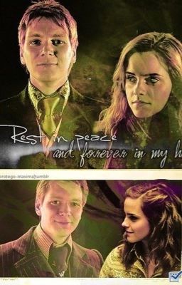 Последний год в Хогвартсе