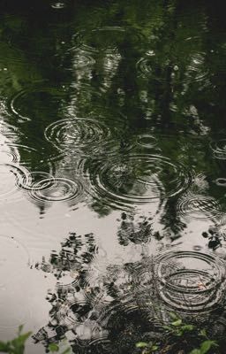 Когда падет последний лепесток