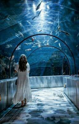 Разве это не прекрасно?