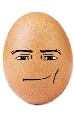 личный дневник яйко