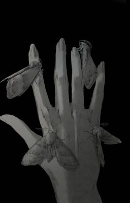 всех богинь, всех мадонн...