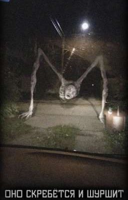 Оно скребётся и шуршит