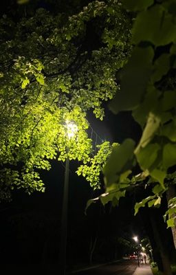 Изумруд. Книга третья