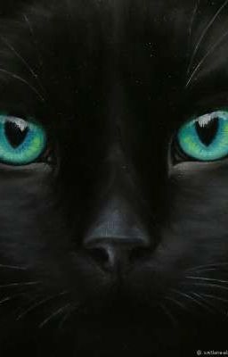 Какого быть в шкуре кота?