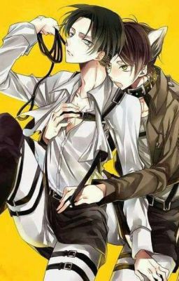 Кот и Босс (Эрени и Леви)[Атака титанов]