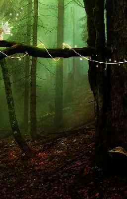 Проход к феям