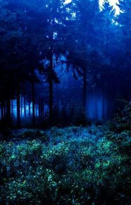 Судная ночь