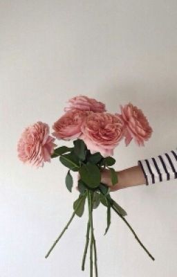 Не каждый согласиться.