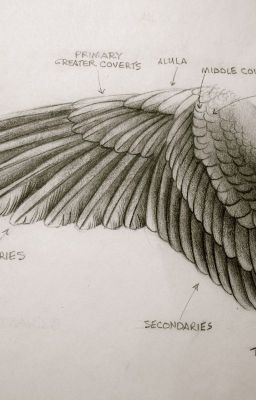 Геном полёта