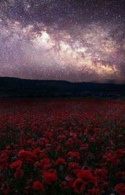 Мой Первый Гусь