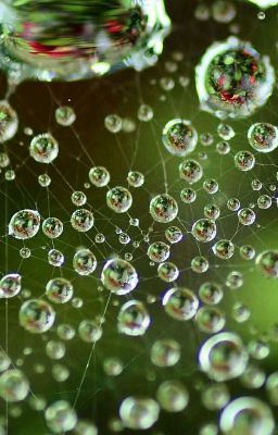 Бриллиантовые прозрения.