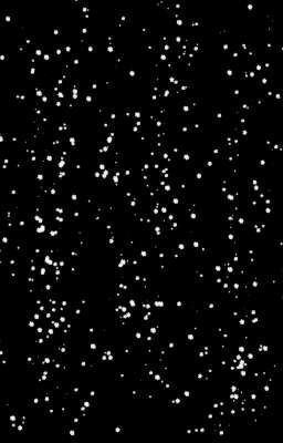 {•Как коты новый год встречали•}