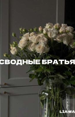 Сводные братья