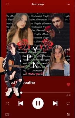 Шоу начинается/The show begins