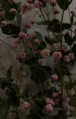 Мы ещё встретимся...