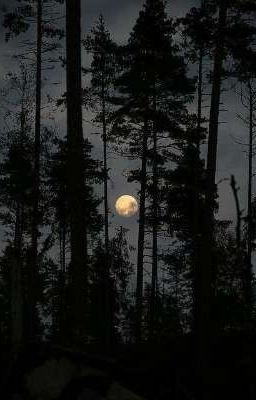 R.G./Ведьмовство/Энергетика/Астрал