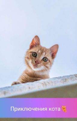 Приключения кота.