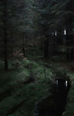 одержимость или любовь?..