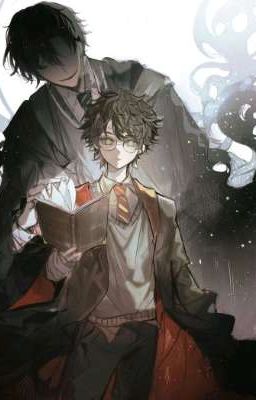 близнецы Поттер?