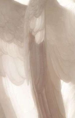 Демоны, и ангел под защитой солнца