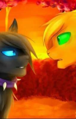 Бич и Огнезвёзд Яой