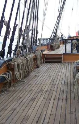 Интересная информация 