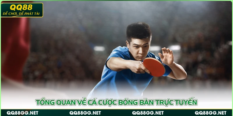 Tổng quan về cá cược bóng bàn trực tuyến